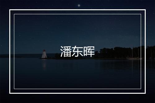 潘东晖