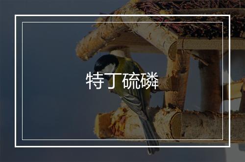 特丁硫磷