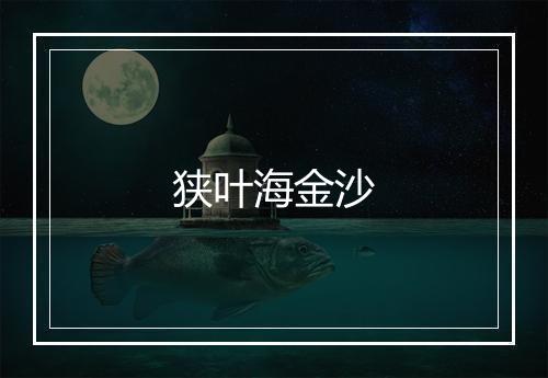 狭叶海金沙