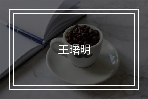 王曙明