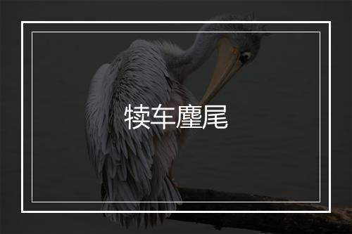 犊车麈尾