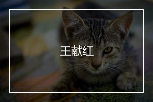 王献红