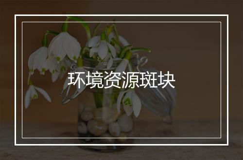 环境资源斑块