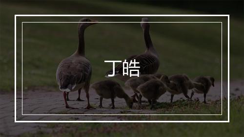 丁皓