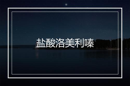 盐酸洛美利嗪