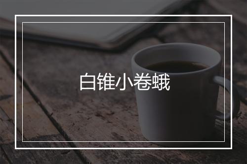 白锥小卷蛾