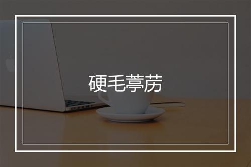 硬毛葶苈