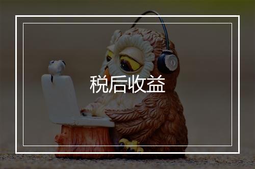 税后收益