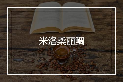 米洛柔丽鲷