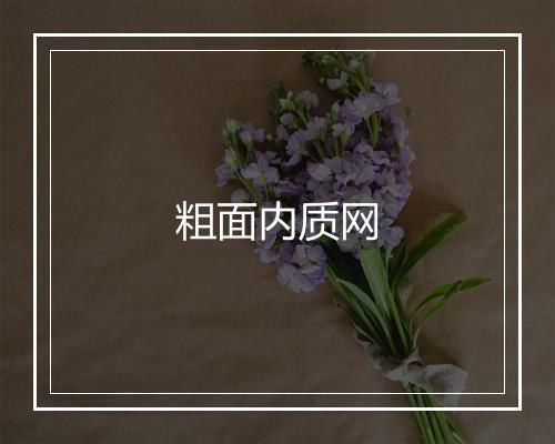 粗面内质网