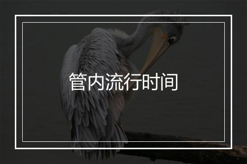 管内流行时间