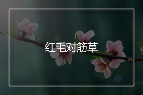 红毛对筋草