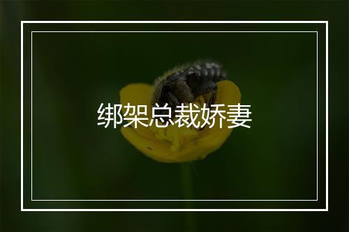 绑架总裁娇妻