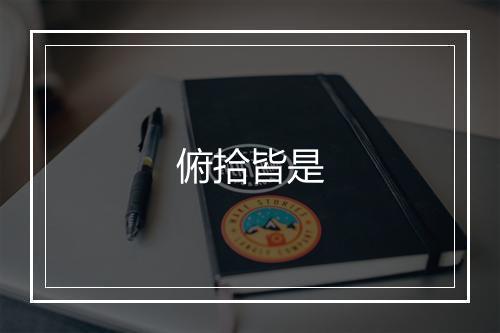 俯拾皆是