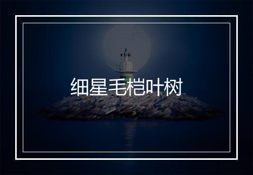 细星毛桤叶树