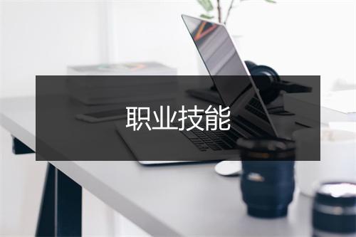 职业技能