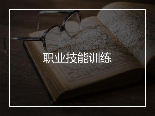 职业技能训练