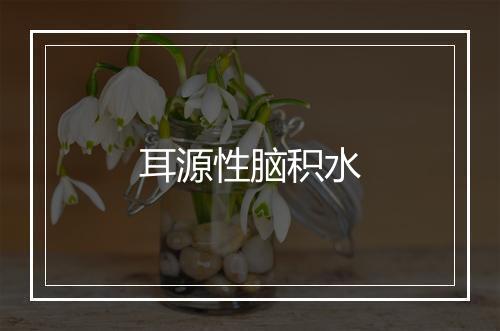 耳源性脑积水