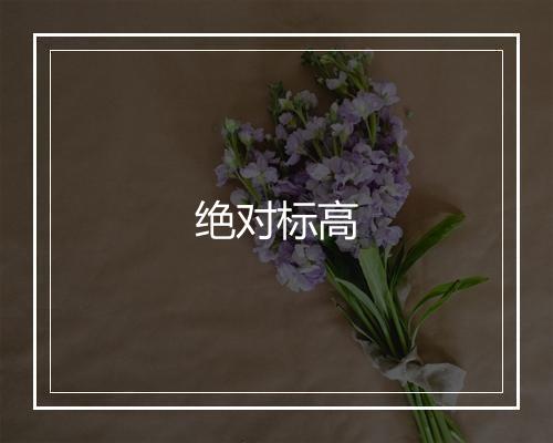 绝对标高