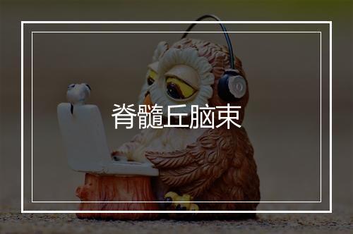 脊髓丘脑束