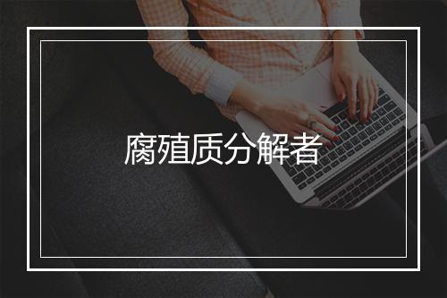 腐殖质分解者