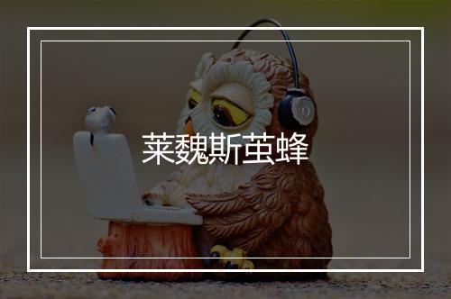 莱魏斯茧蜂