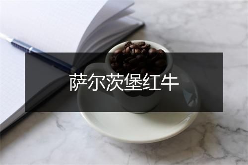 萨尔茨堡红牛