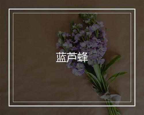 蓝芦蜂