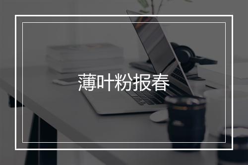 薄叶粉报春