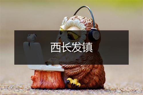 西长发镇