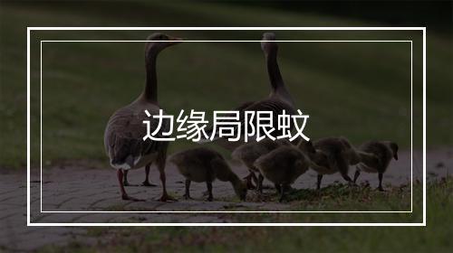 边缘局限蚊