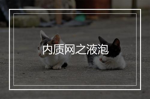 内质网之液泡