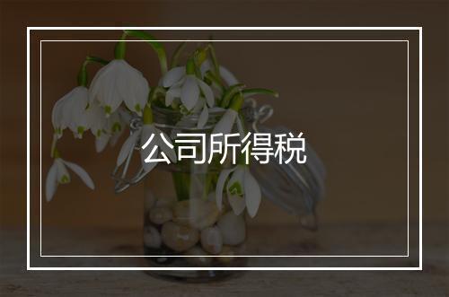 公司所得税