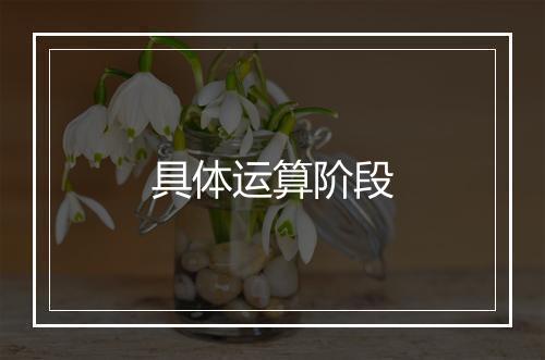 具体运算阶段