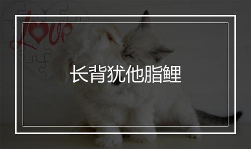 长背犹他脂鲤