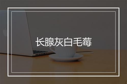 长腺灰白毛莓