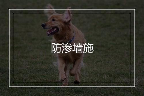 防渗墙施