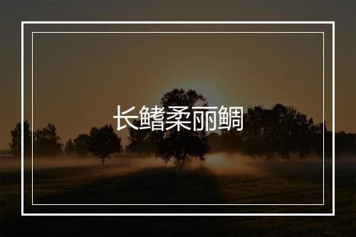 长鳍柔丽鲷