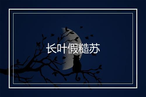 长叶假糙苏