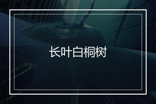 长叶白桐树