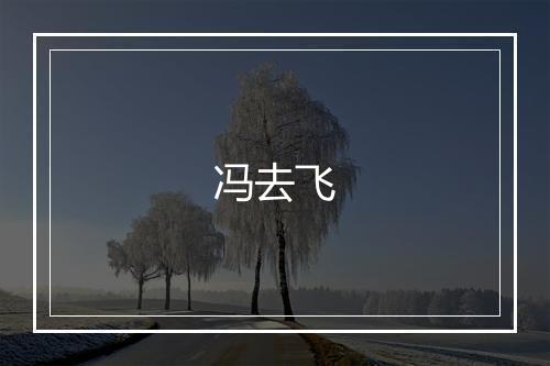 冯去飞