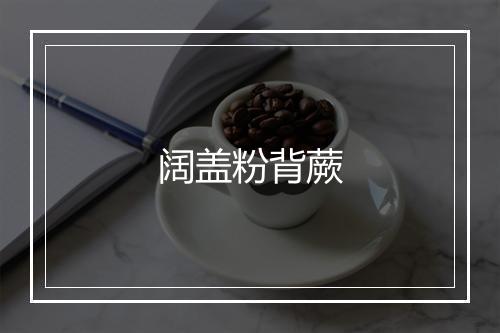 阔盖粉背蕨