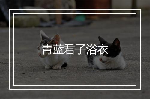 青蓝君子浴衣