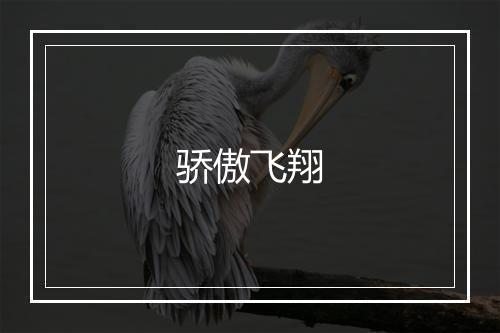 骄傲飞翔