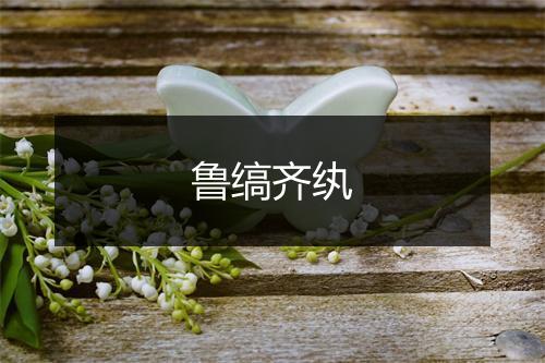 鲁缟齐纨