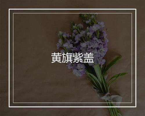 黄旗紫盖