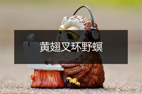 黄翅叉环野螟