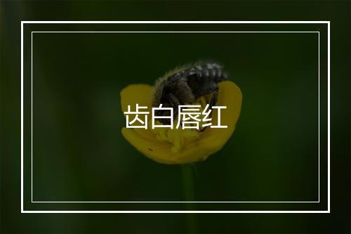 齿白唇红