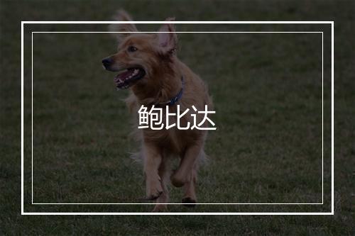 鲍比达