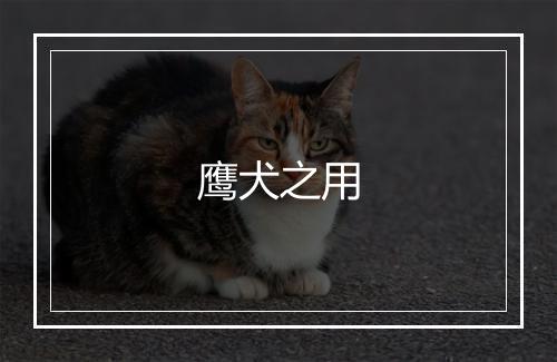 鹰犬之用